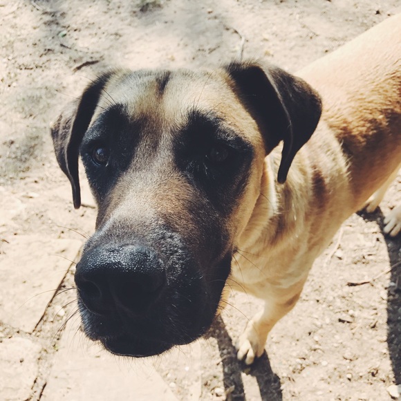 Meet your Posher, Trtracy - Picture 1 of 1